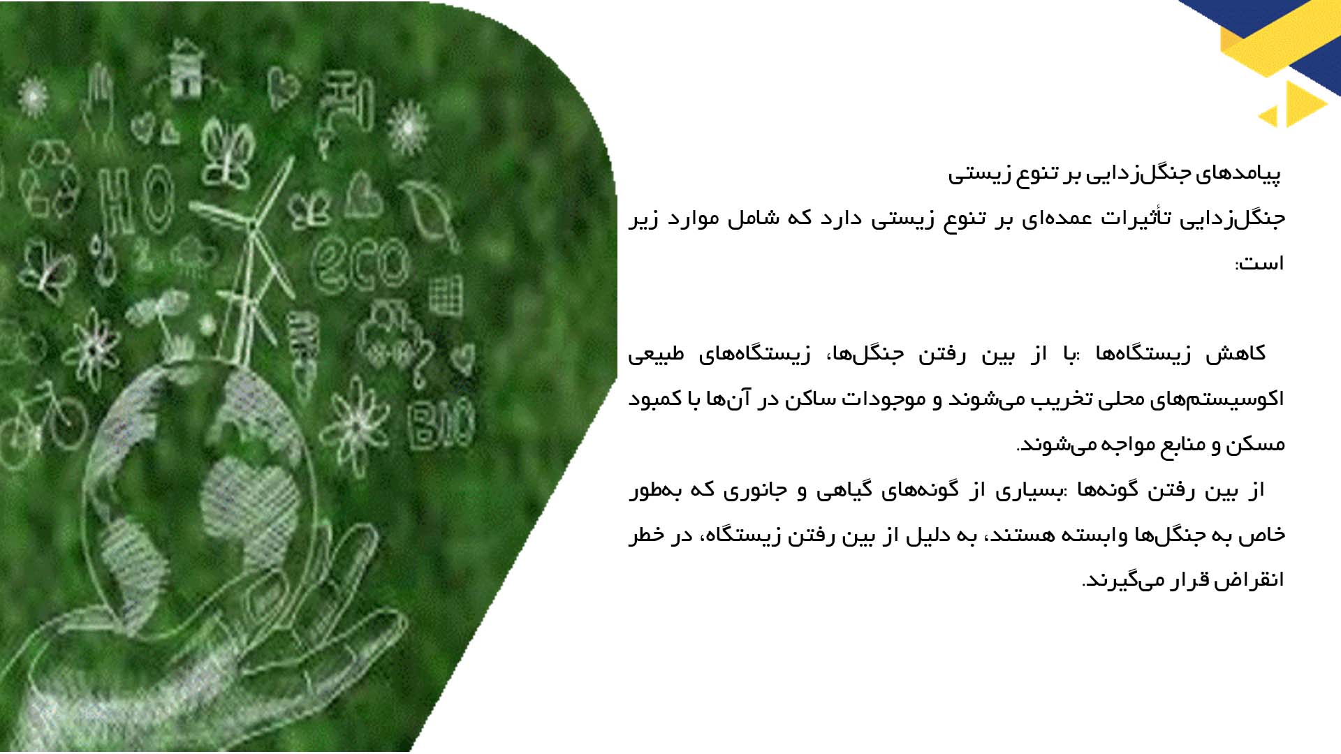 پاورپوینت در مورد جنگل‌زدایی و پیامدهای آن بر تنوع زیستی